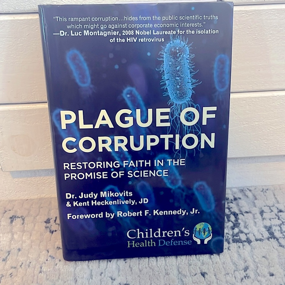 Plague of Corruption Book